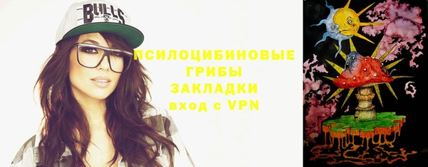 apvp Горно-Алтайск