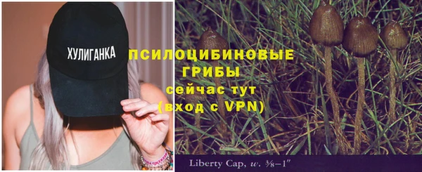 стафф Вяземский