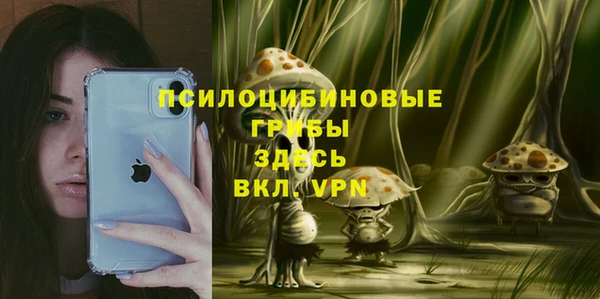 эйфоретик Горняк