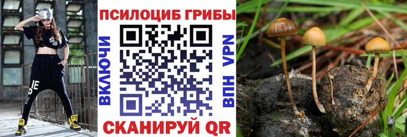 Псилоцибиновые грибы Magic Shrooms Купить где Красный Кут