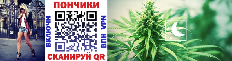 Купить  Красный Кут  МАРИХУАНА White Widow 
